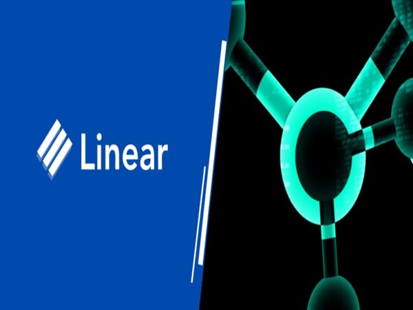 Coin lina thuộc hệ nào, nền tảng Blockchain và những điểm đặc biệt