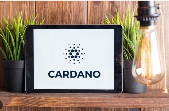Những thông tin cần nắm được trước khi học cách đào Cardano