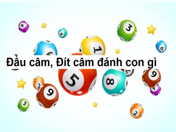 Đầu 1 câm đánh con gì? Cặp số lô tô đẹp đi kèm chuẩn nhất