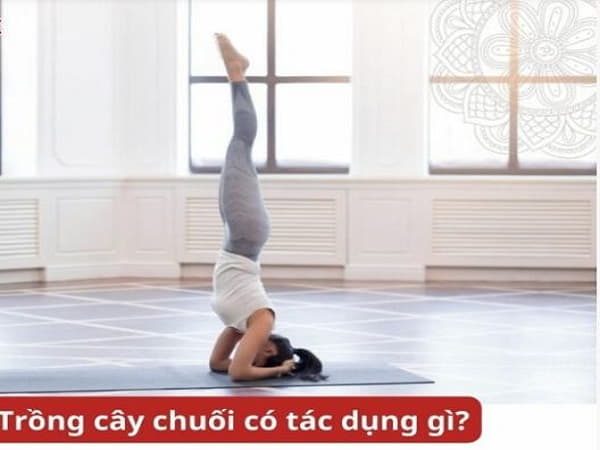 Lợi ích của bài tập trồng cây chuối