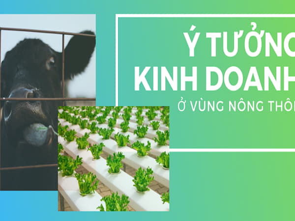 Những yếu tố cần thành công trong ý tưởng kinh doanh ở nông thôn