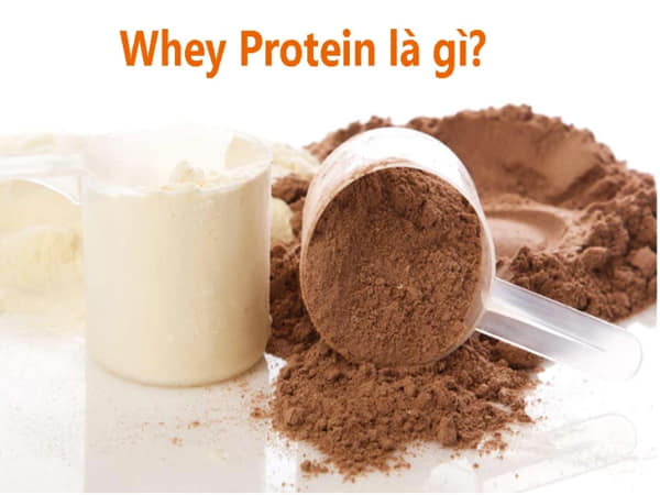 Whey protein là gì