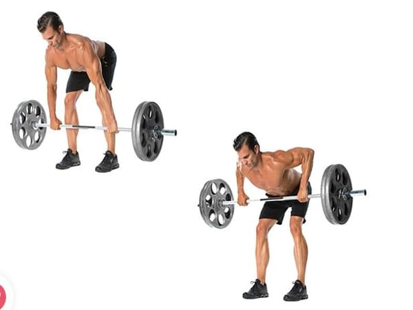 Bài tập lưng Barbell row (gập người kéo tạ đòn)